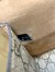 Gucci Dionysus Small Top Handle Bag in GG Canvas with Taupe Suede