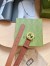 Gucci Blondie Belt 30MM in Brown Suede Calfskin