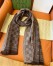 Gucci Double GG Jacquard Wool Scarf in Beige and Brown