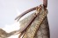 Gucci Hobo Bag In Beige GG Supreme Canvas 