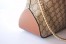 Gucci Hobo Bag In Beige GG Supreme Canvas 