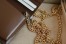 Gucci Horsebit 1955 Chain Wallet in GG Supreme with Brown Leather