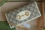 Gucci Horsebit 1955 Chain Wallet in GG Supreme with White Leather