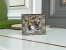 Gucci Bi-fold Wallet In Beige Tiger Print GG Supreme Canvas