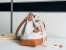Gucci Mini Drawstring Bag in Canvas with Gucci Print
