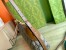 Gucci GG Emblem Small Shoulder Bag in Beige GG Canvas