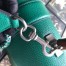 Gucci Dionysus Small Bamboo Top Handle Bag in Green Leather