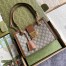 Gucci Padlock Small Shoulder Bag in GG Canvas with Brown Calfskin