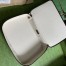 Gucci Large Packing Cube in Beige Supreme Canvas