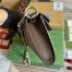 Gucci Dionysus Small Shoulder Bag with Chain in Beige GG Canvas 