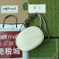 Gucci Blondie Mini Shoulder Bag in White Calfskin