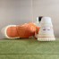 Gucci Men's Re-Web Sneakers in GG Canvas with Orange Leather