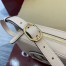 Gucci Blondie Mini Camera Bag in Light Pink Calf Leather
