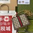 Gucci Ophidia GG Mini Chain Bag in GG Canvas with Brown Leather