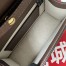 Gucci Ophidia GG Mini Chain Bag in GG Canvas with Brown Leather