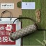 Gucci Horsebit 1955 Small Chain Bag in Beige GG Supreme Canvas