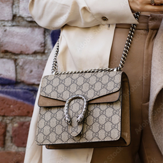 Introducing the Gucci DionysusBag